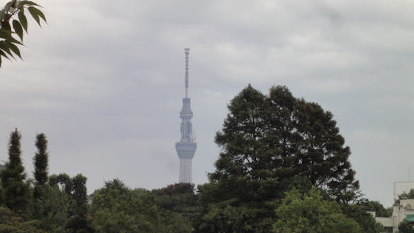 the top half of skytree in the distance behind trees